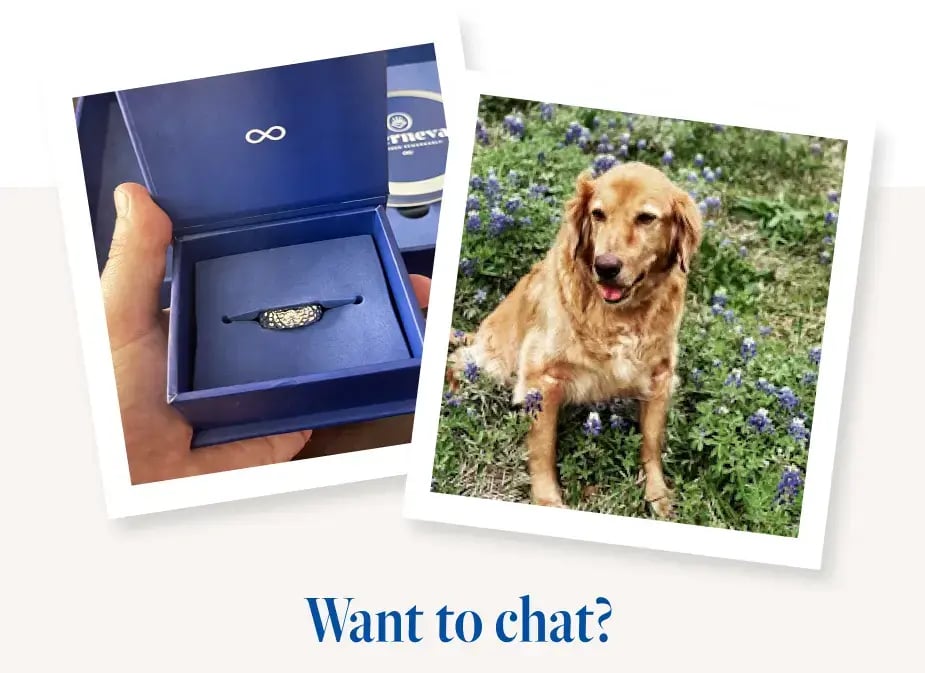 Dog ring want to chat